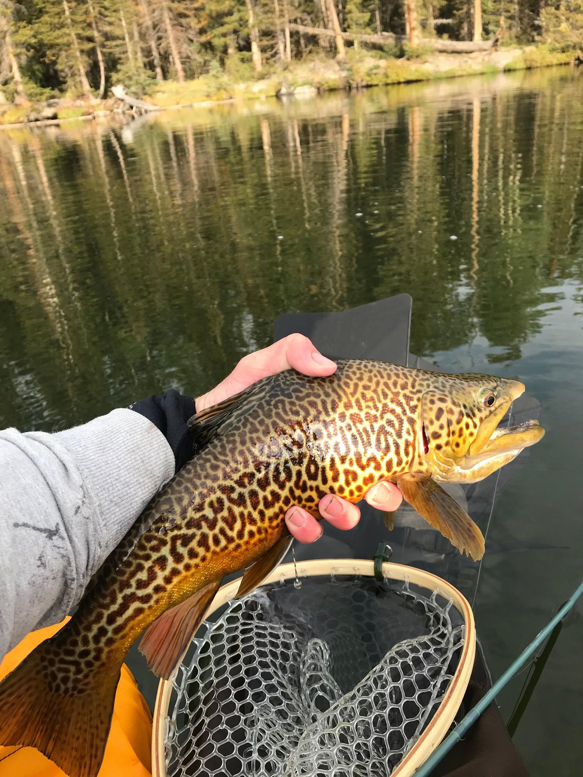 Things To Do Southern Utah is a Fisherman's Paradise