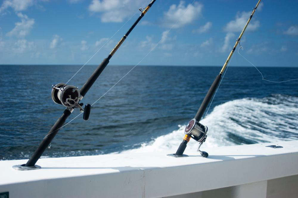 Things To Do Beginners Guide to Fishing in Orange Beach, Alabama