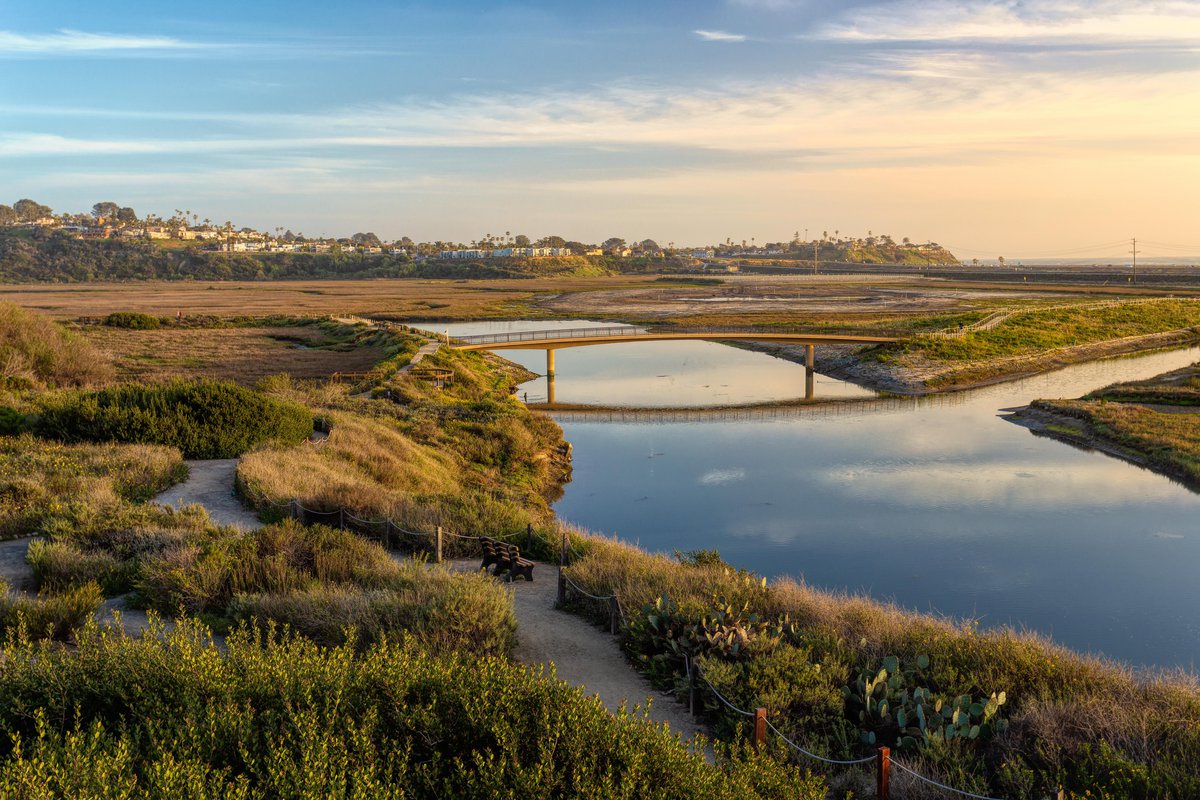 Things To Do Discover the Beauty of San Elijo Lagoon Ecological Reserve