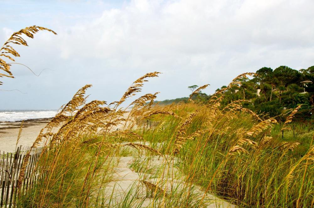 Things To Do Ultimate Guide to Beach Activities in Hilton Head
