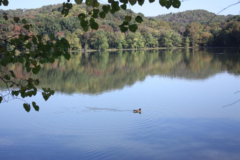 Things To Do Radnor Lake State Park