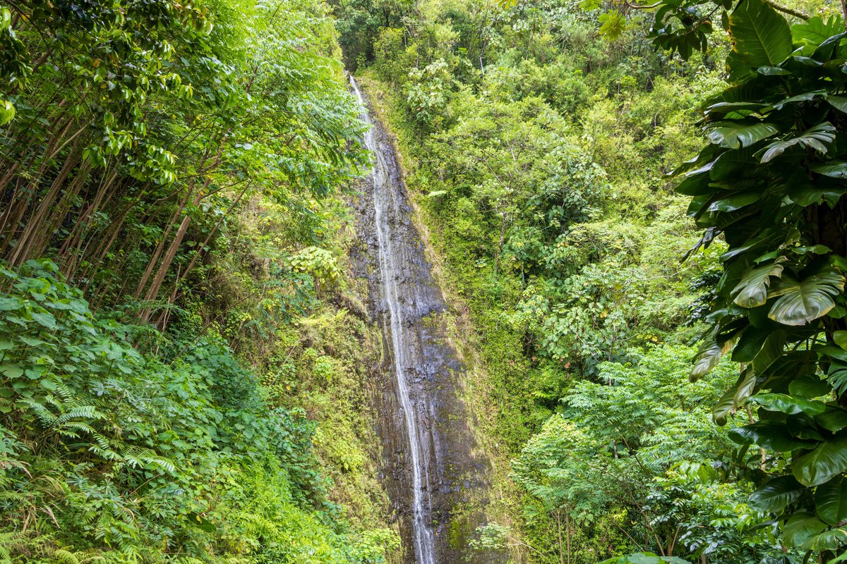 Things To Do Discover the Best Parks on Big Island and Oahu