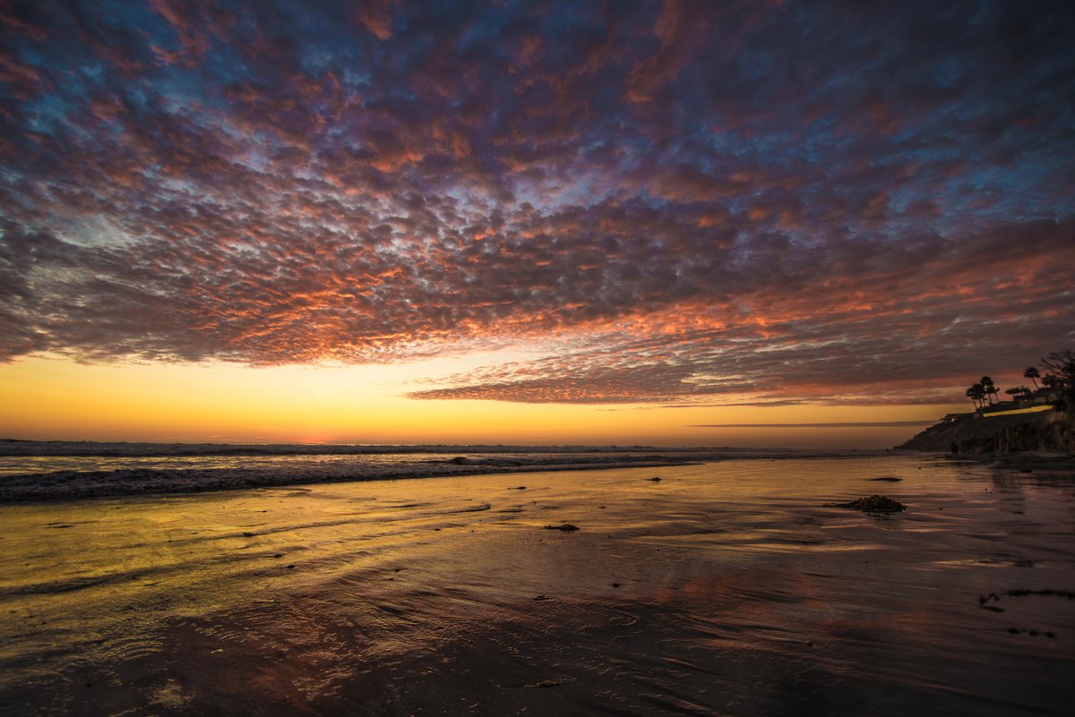 Things To Do The Ocean Room