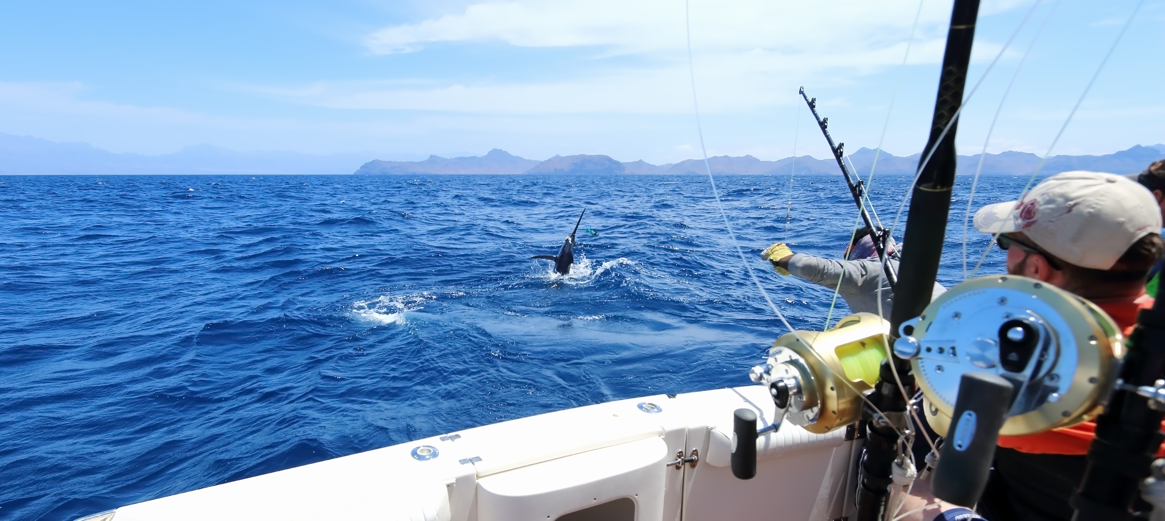 Things To Do Best Deep Sea Fishing Charters in Miami Beach 