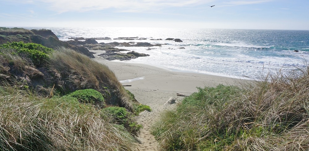 Things To Do Explore Trails and Beaches in Sea Ranch 