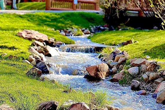 Full Service Property Management